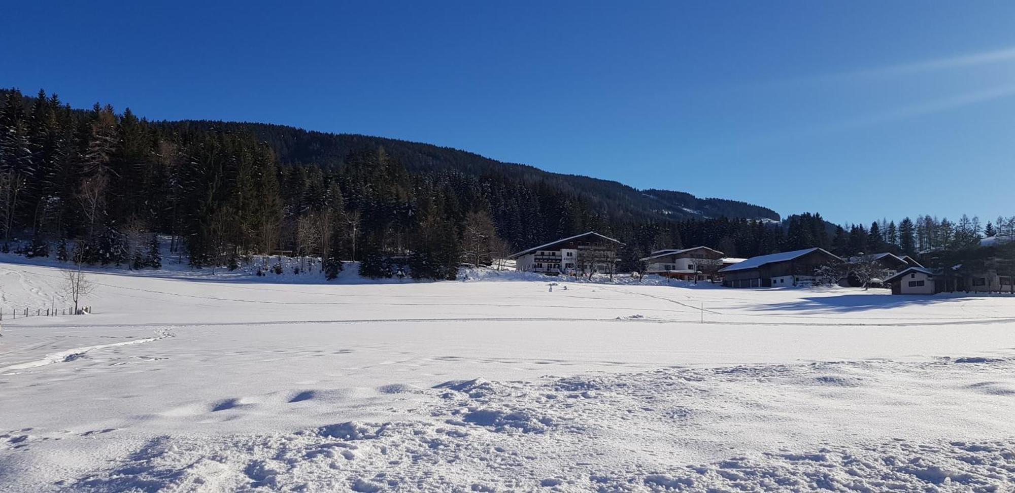 Boutique Hotel Alpenhof Sankt Martin am Tennengebirge Eksteriør bilde