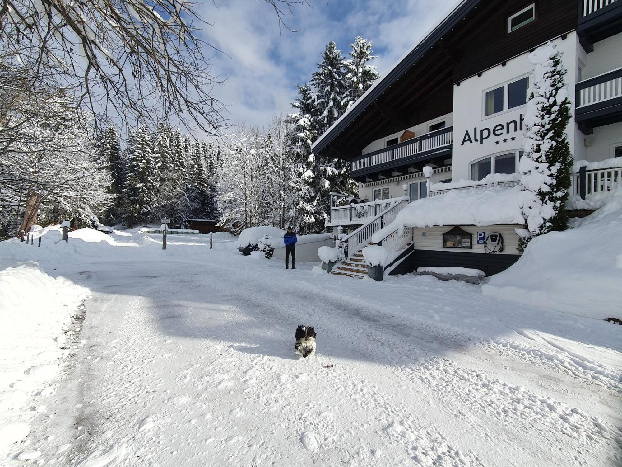 Boutique Hotel Alpenhof Sankt Martin am Tennengebirge Eksteriør bilde