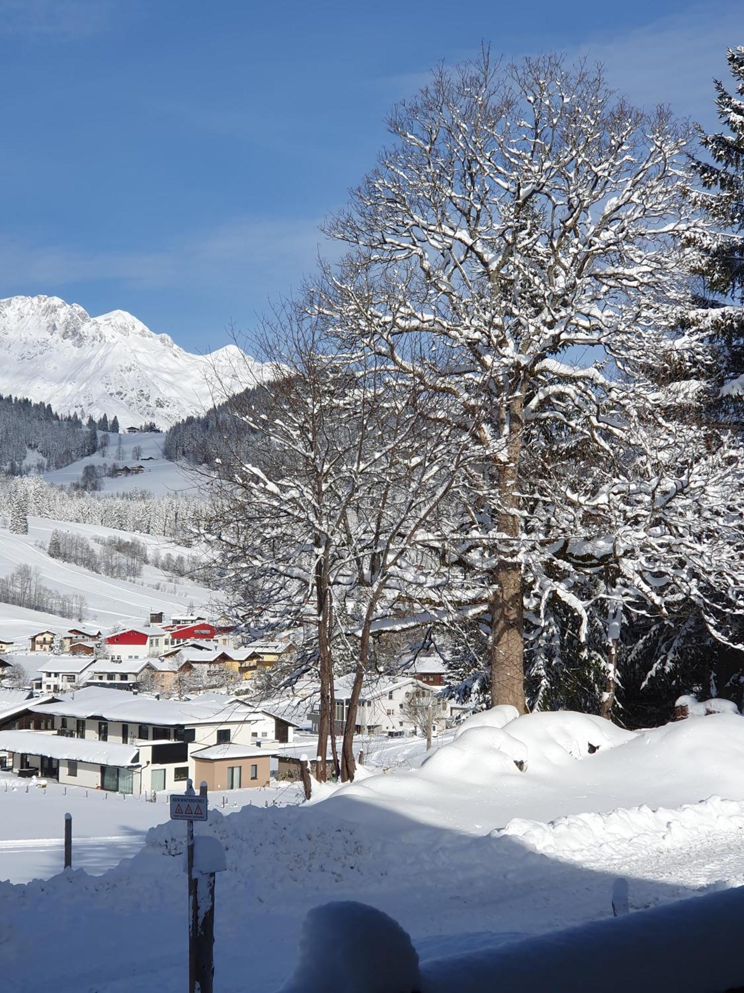 Boutique Hotel Alpenhof Sankt Martin am Tennengebirge Eksteriør bilde