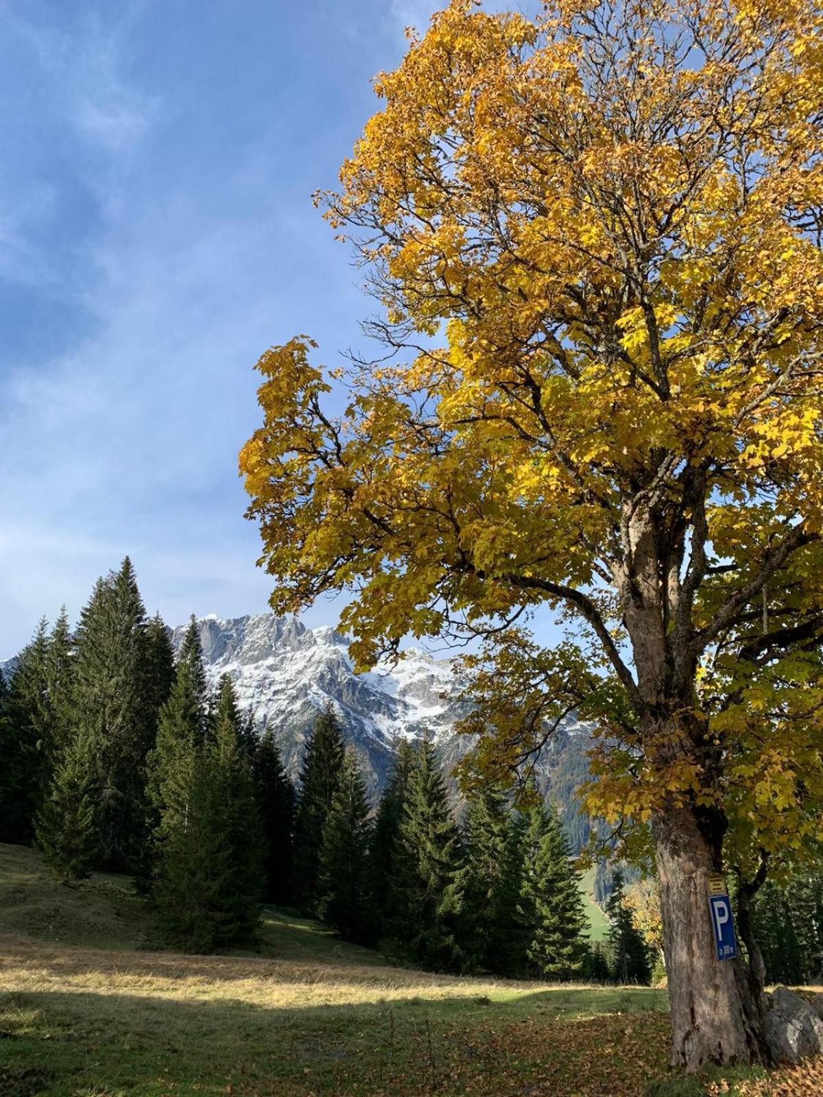 Boutique Hotel Alpenhof Sankt Martin am Tennengebirge Eksteriør bilde